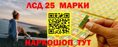 apvp Аша