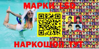 apvp Аша