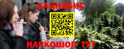 apvp Аша